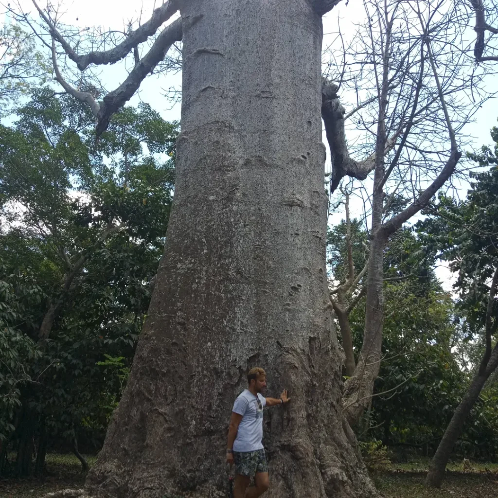 IMG_20230823_113501_437