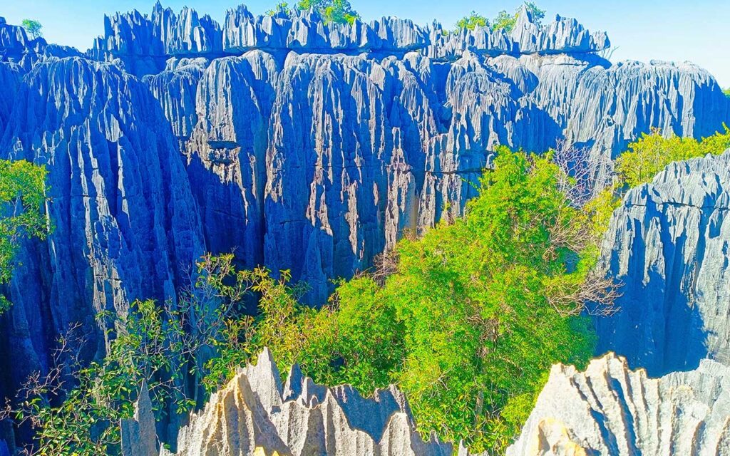 gael-tours-madagascar-immersions-les-baobabs-et-les-tsingy-sud-ouest-madagascar1