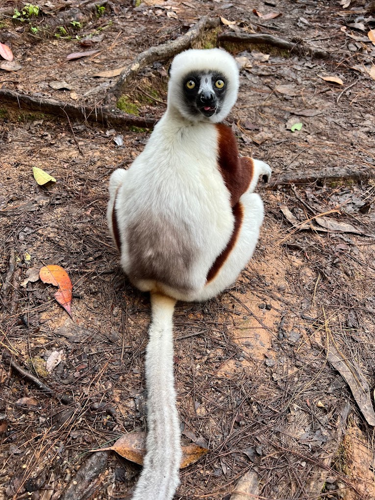 gaeltoursmadagascar_circuits_escapade_est_madagascar-2