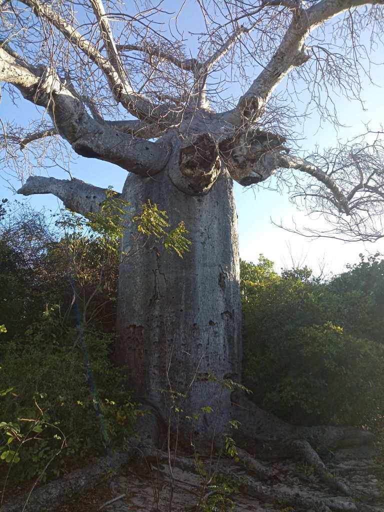 gaeltoursmadagascar_mini_tours_nord_3j2n_01