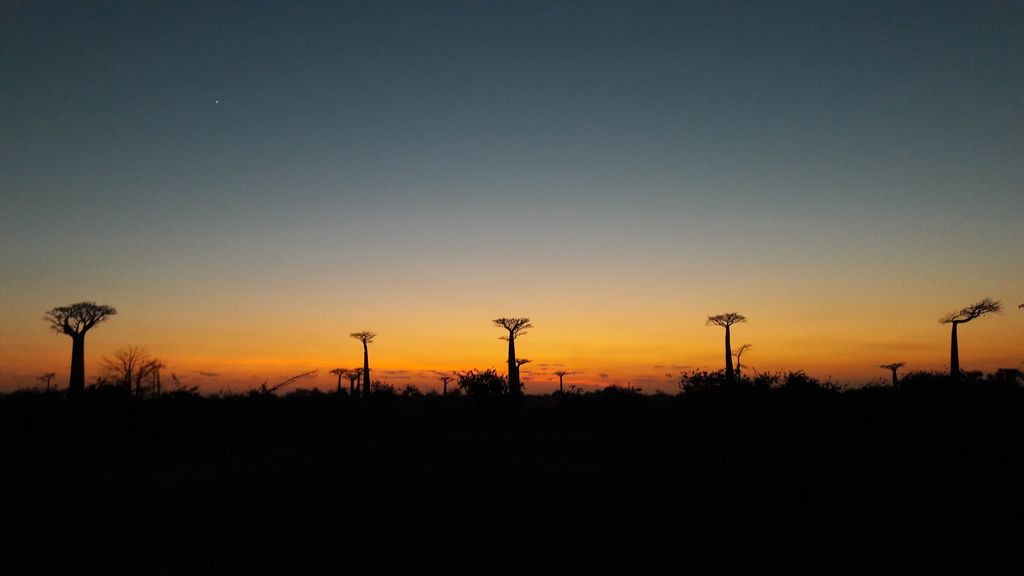 gaeltoursmadagascar-circuit-descente-tsiribihina-3