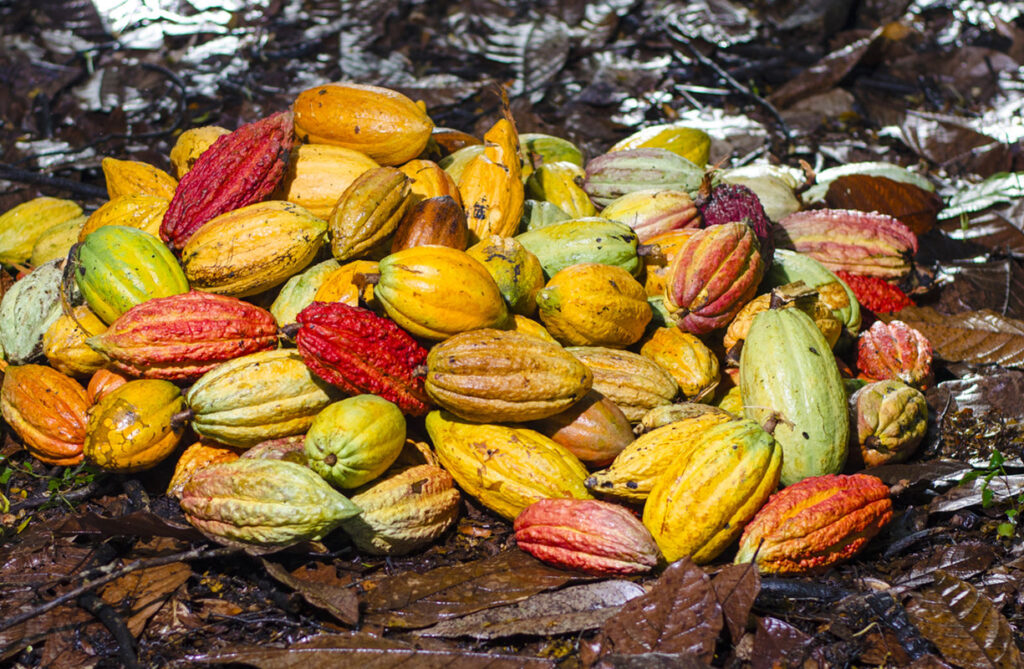 gaeltoursmadagascar-image-excursions-tours-guide-003