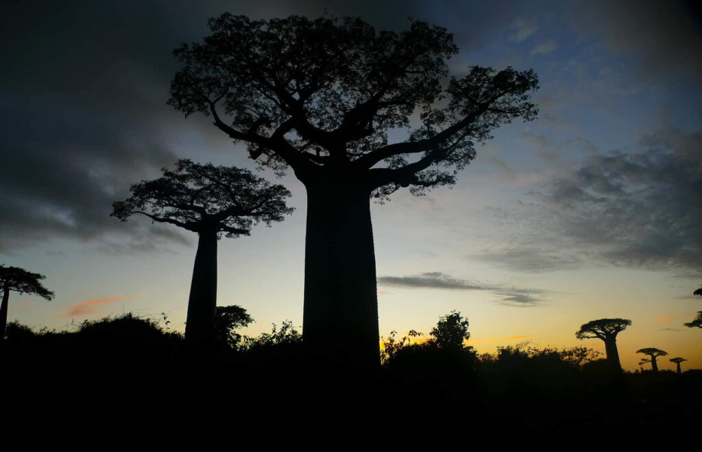 gaeltoursmadagascar-image-excursions-tours-guide-022