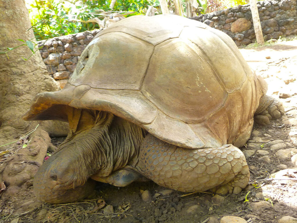 gaeltoursmadagascar-image-excursions-tours-guide-064