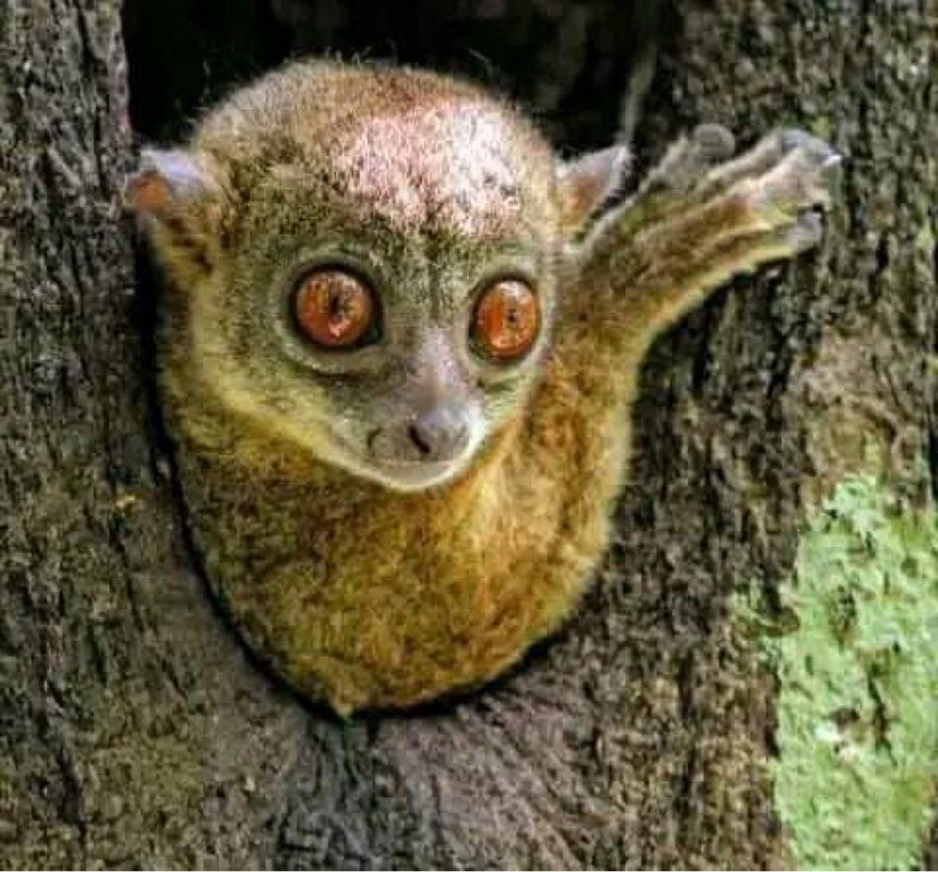 gaeltoursmadagascar-image-excursions-tours-guide-084