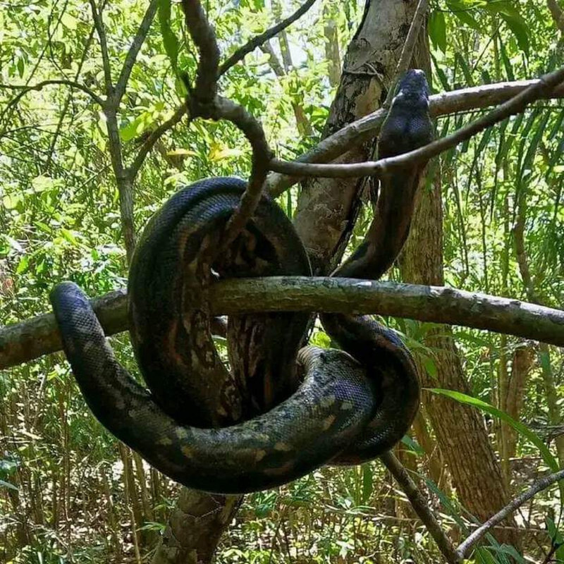 gaeltoursmadagascar-image-excursions-tours-guide-089