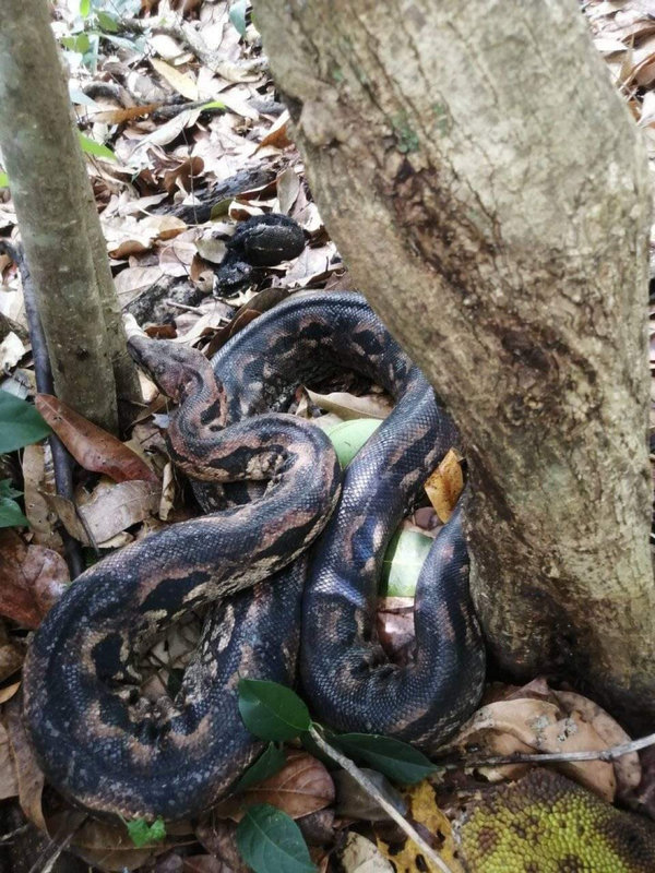 gaeltoursmadagascar-image-excursions-tours-guide-097