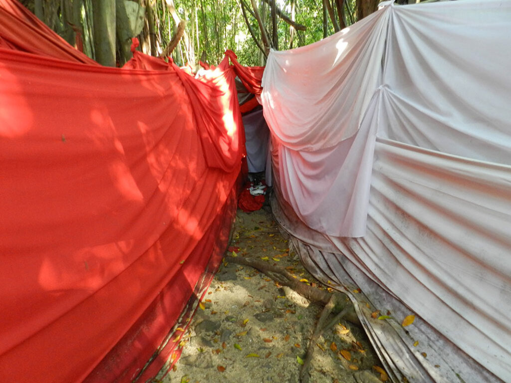 gaeltoursmadagascar-image-excursions-tours-guide-118