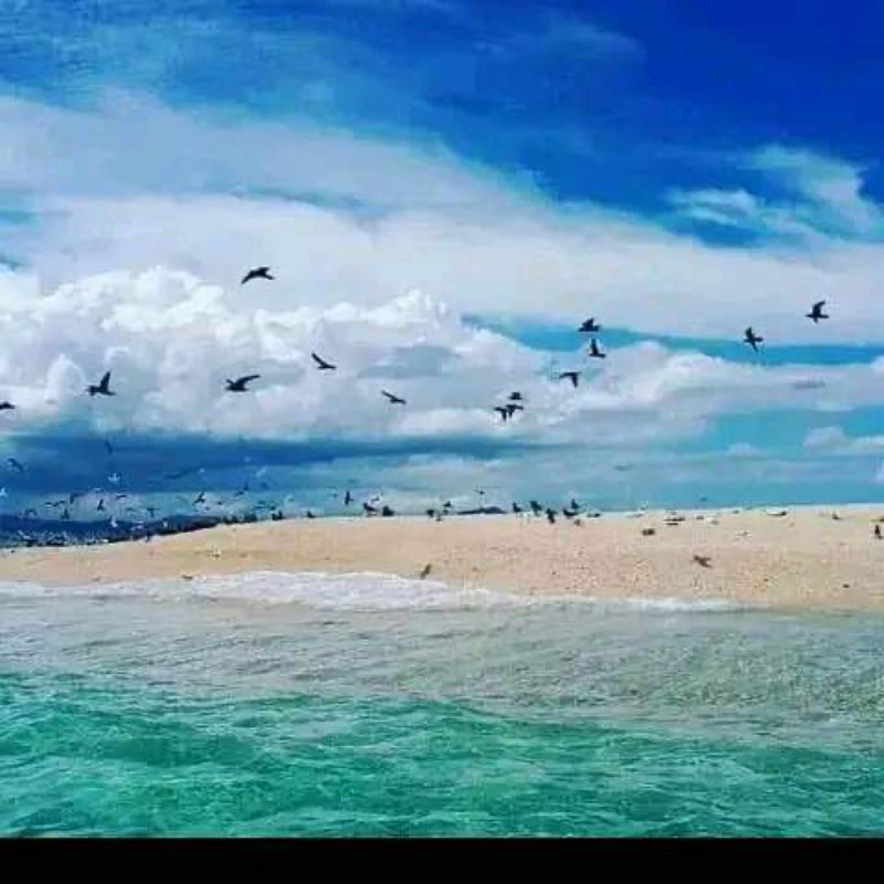 gaeltoursmadagascar-image-excursions-tours-guide-136