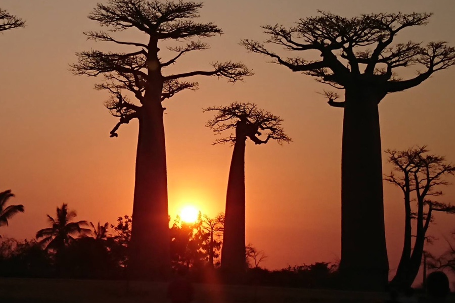 gael-tour-madagascar-slider-2-1